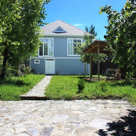 Soft Villa Gabala Bagian luar foto